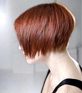 Short Bobs Hairstyles